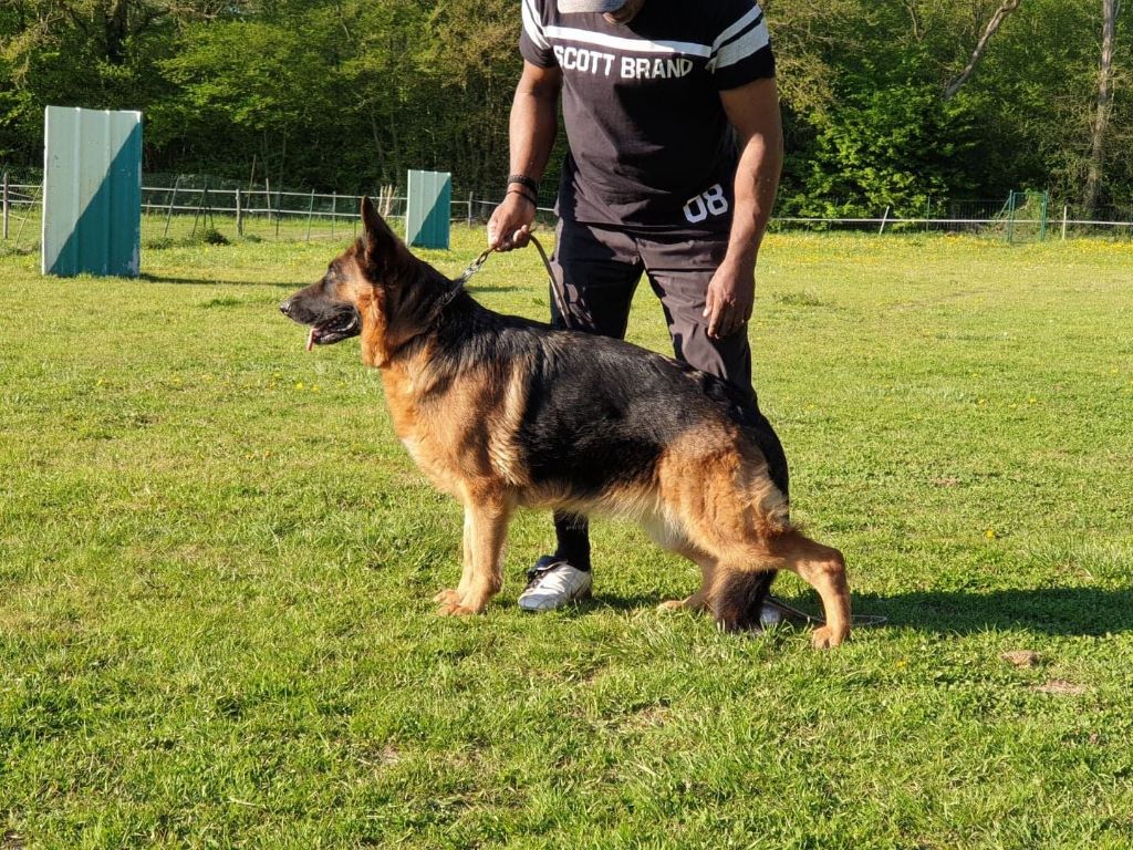 Lena de la Huche Normande