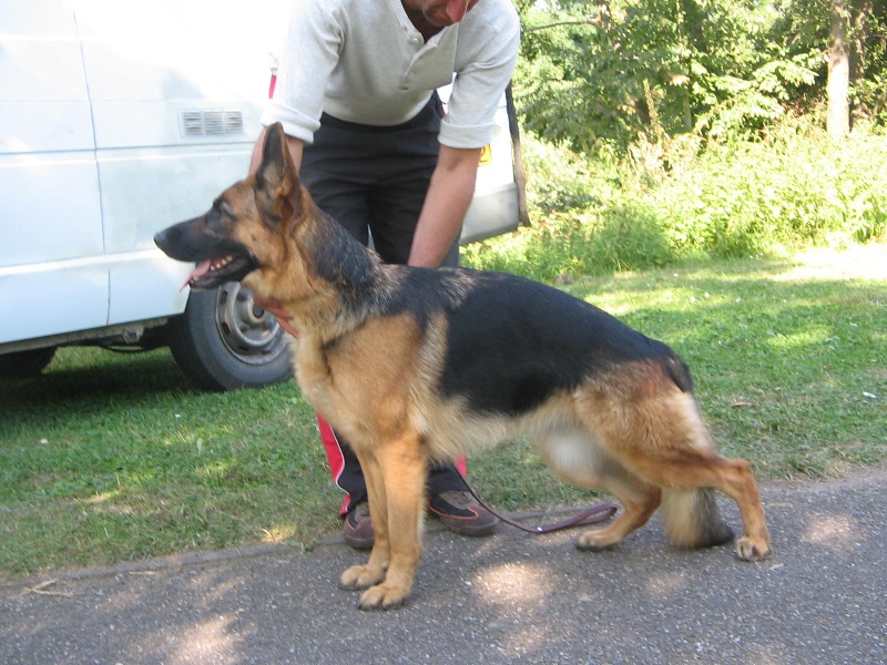 Vaty de la Huche Normande