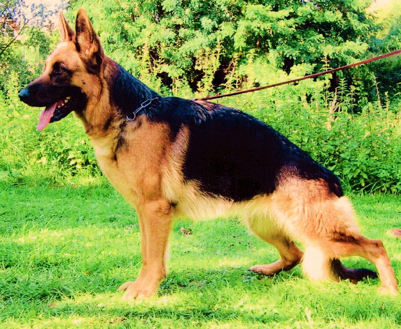 Vaty de la Huche Normande