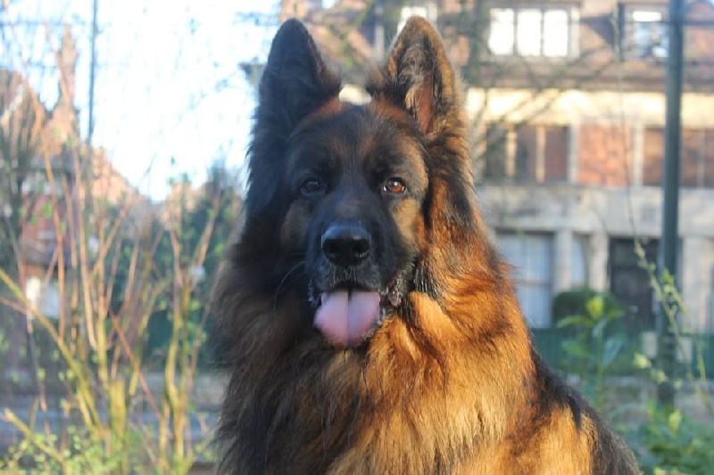 Caizer de la Huche Normande